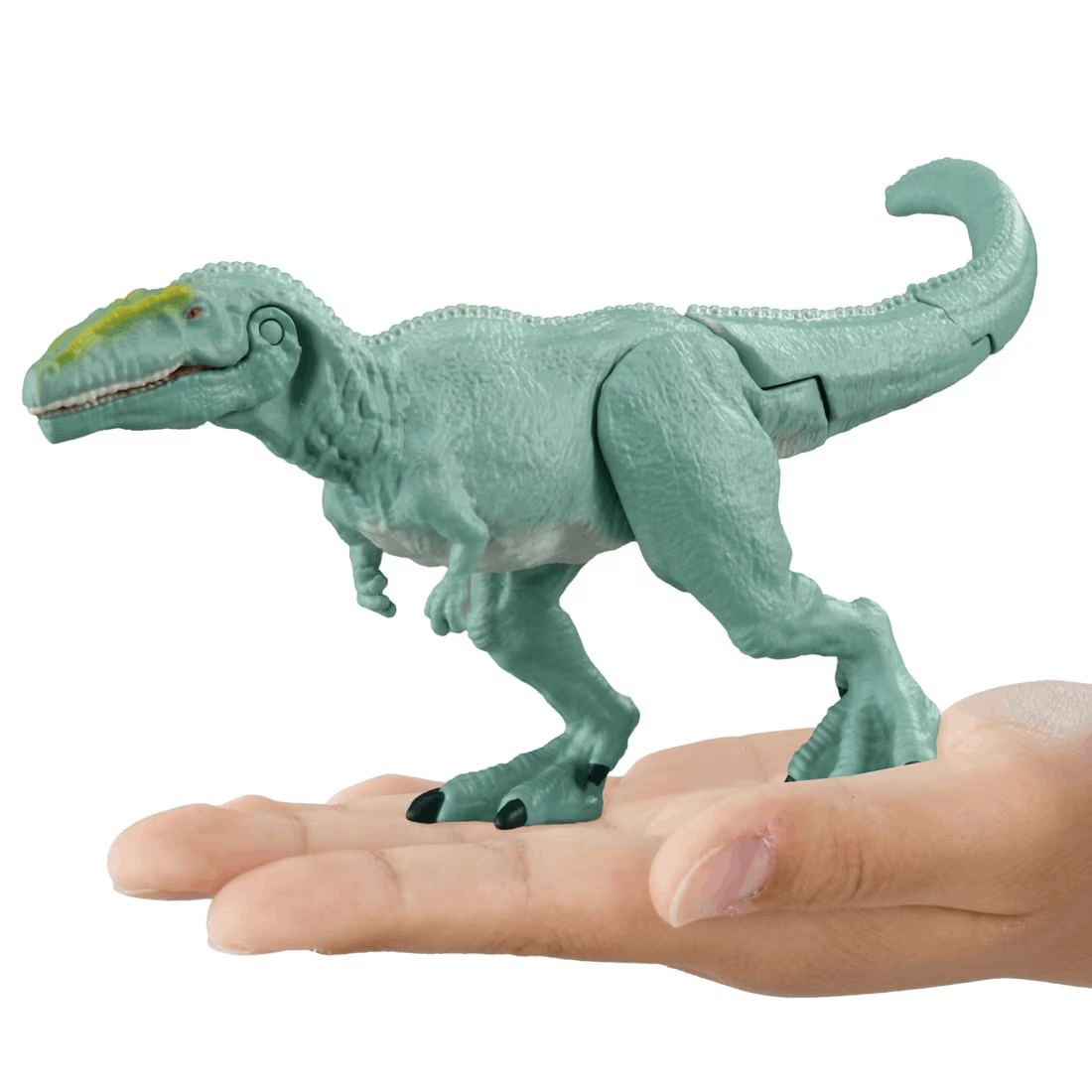 Takara Tomy ANA-FIG Ania Figure AL12 Giganotosaurus