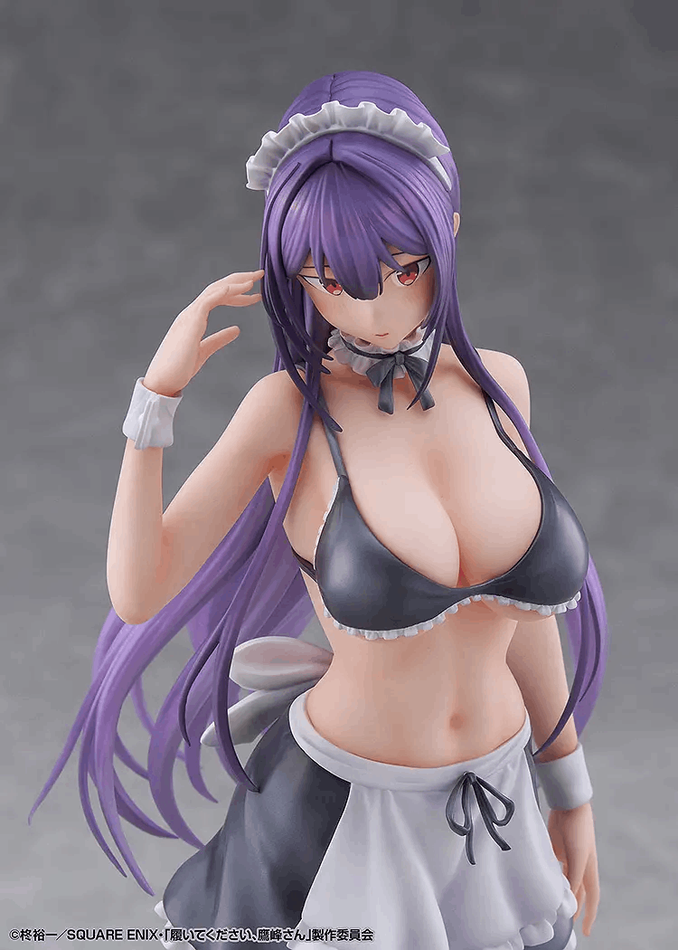 DMM Factory 1/6 Please Put Them On, Takamine-san: Takane Takamine