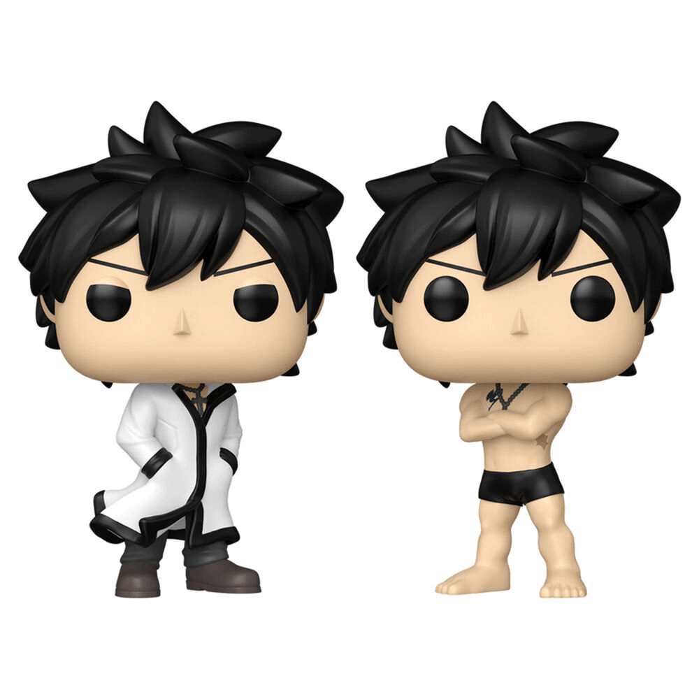 Funko POP Animation: FT100YQ- Gray w/CH