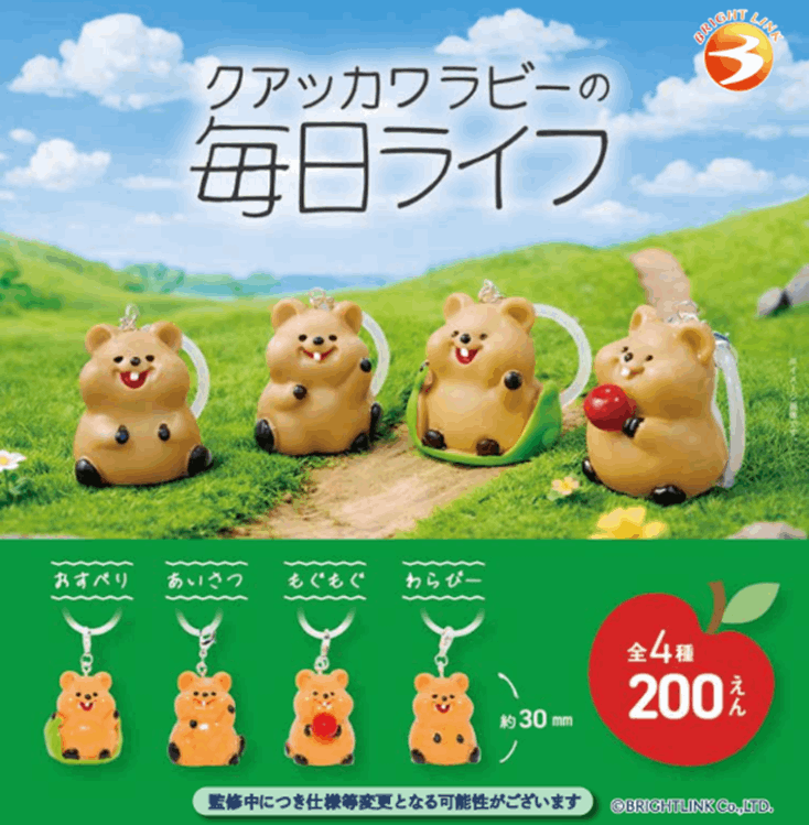 Brightlink Daily Life of Quokka Wallaby