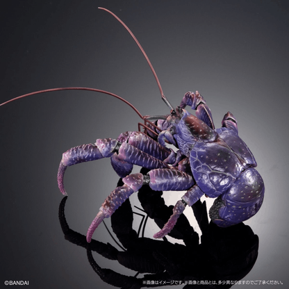 Premium Bandai [GOL] THE DIVERSITY OF LIFE ON EARTH PREMIUM BIRGUS LATRO (PURPLE COLOR)