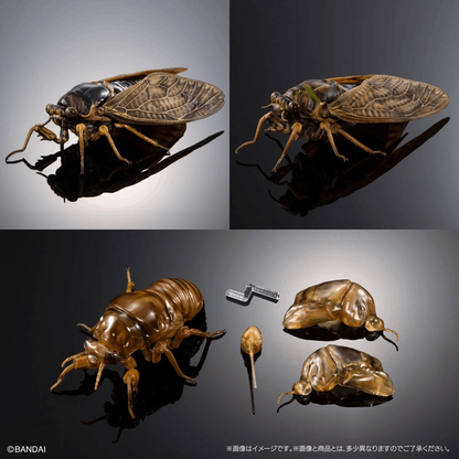 Bandai Capsule Toy [GOL] THE DIVERSITY OF LIFE ON EARTH CICADA 02 LARGE BROWN CICADA DISPLAY STAND SET