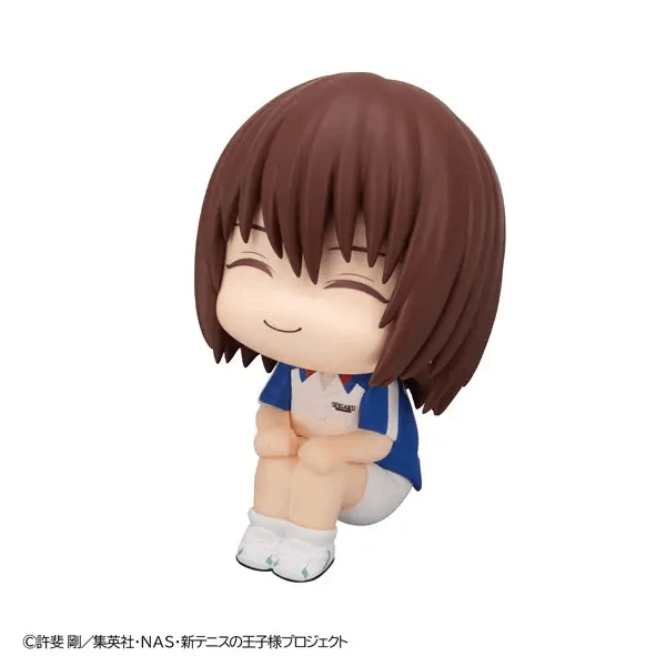 Megahouse Lookup The New Prince of Tennis Shusuke Fuji