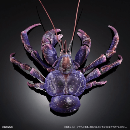 Premium Bandai [GOL] THE DIVERSITY OF LIFE ON EARTH PREMIUM BIRGUS LATRO (PURPLE COLOR)