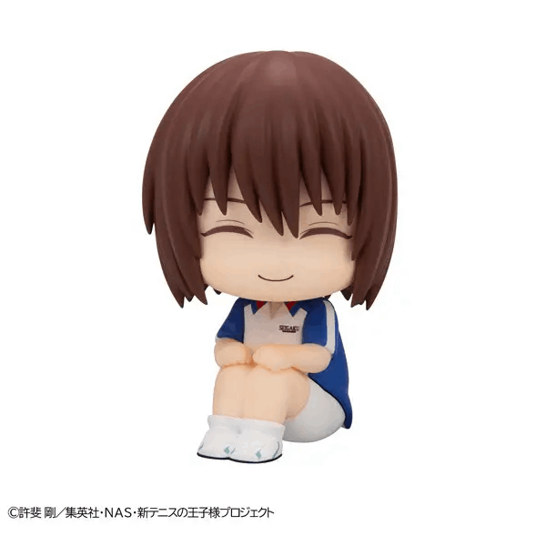 Megahouse Lookup The New Prince of Tennis Shusuke Fuji