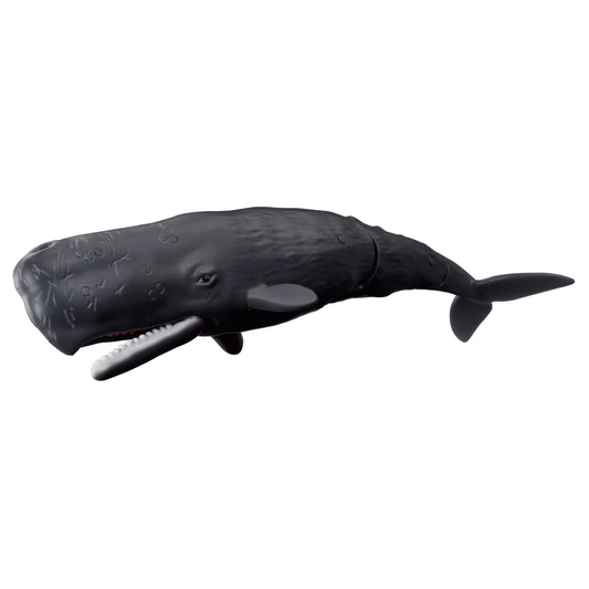 Takara Tomy ANA-FIG Ania Figure AL34 Spermwhale