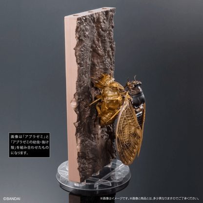 Bandai Capsule Toy [GOL] THE DIVERSITY OF LIFE ON EARTH CICADA 02 LARGE BROWN CICADA DISPLAY STAND SET