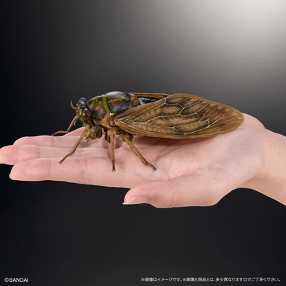 Bandai Capsule Toy [GOL] THE DIVERSITY OF LIFE ON EARTH CICADA 02 LARGE BROWN CICADA DISPLAY STAND SET