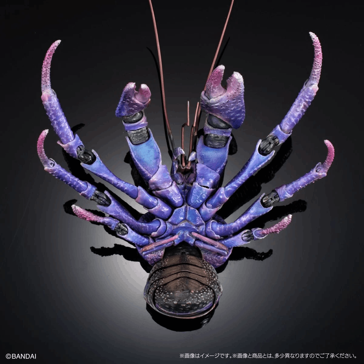 Premium Bandai [GOL] THE DIVERSITY OF LIFE ON EARTH PREMIUM BIRGUS LATRO (PURPLE COLOR)
