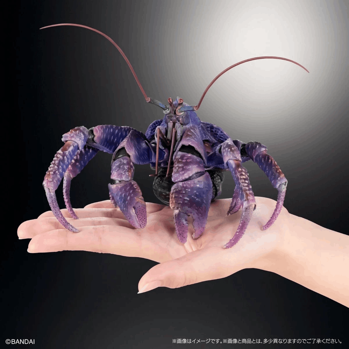 Premium Bandai [GOL] THE DIVERSITY OF LIFE ON EARTH PREMIUM BIRGUS LATRO (PURPLE COLOR)