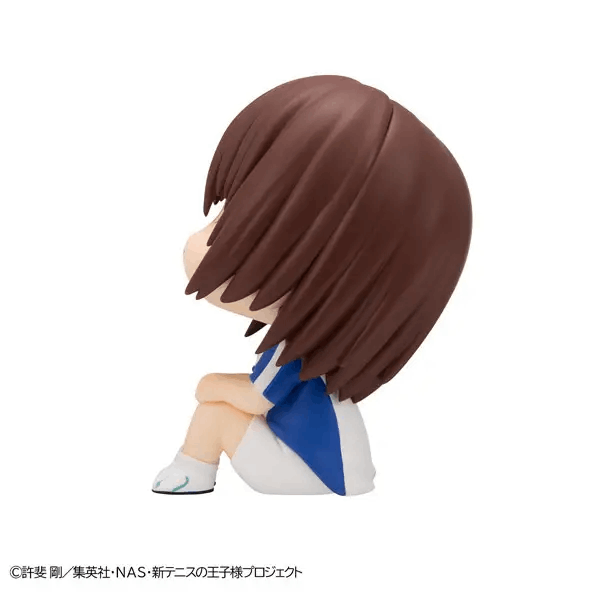 Megahouse Lookup The New Prince of Tennis Shusuke Fuji