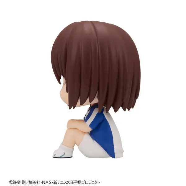 Megahouse Lookup The New Prince of Tennis Shusuke Fuji