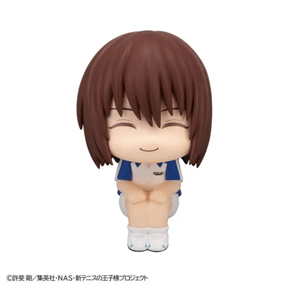 Megahouse Lookup The New Prince of Tennis Shusuke Fuji