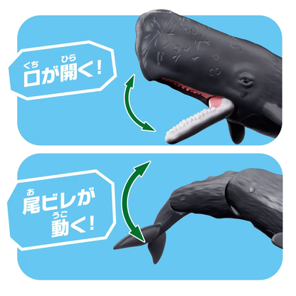 Takara Tomy ANA-FIG Ania Figure AL34 Spermwhale