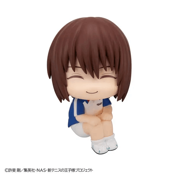 Megahouse Lookup The New Prince of Tennis Shusuke Fuji
