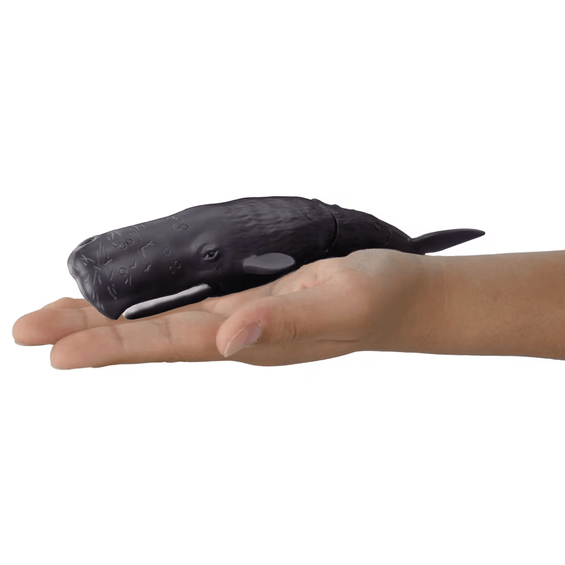 Takara Tomy ANA-FIG Ania Figure AL34 Spermwhale