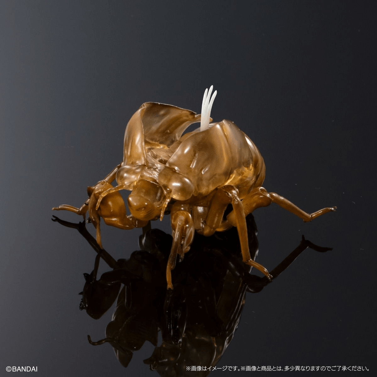 Bandai Capsule Toy [GOL] THE DIVERSITY OF LIFE ON EARTH CICADA 02 LARGE BROWN CICADA DISPLAY STAND SET