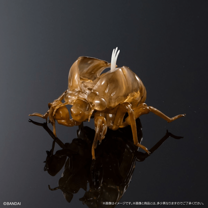 Bandai Capsule Toy [GOL] THE DIVERSITY OF LIFE ON EARTH CICADA 02 LARGE BROWN CICADA DISPLAY STAND SET